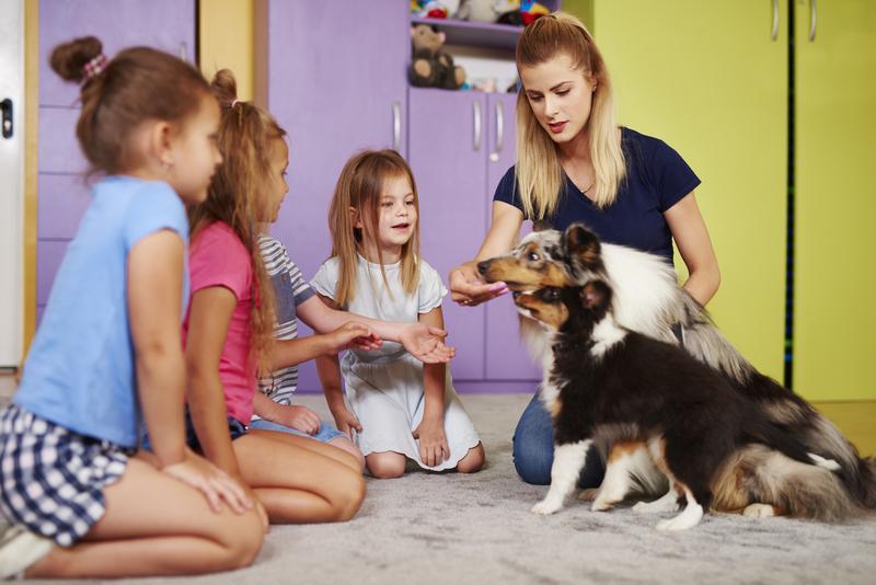 The Best Dog Breeds if You Have Young Children at Home