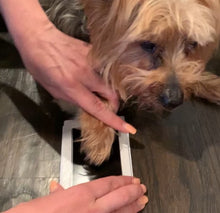 Load image into Gallery viewer, Paw Print Kit - Baby's Mark