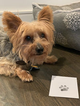 Load image into Gallery viewer, Paw Print Kit - Baby's Mark